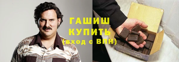 mix Инта