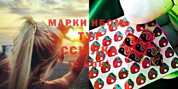 mix Инта