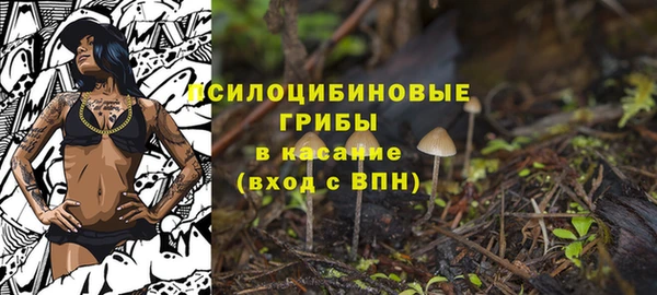 mix Инта
