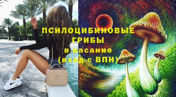 mix Инта