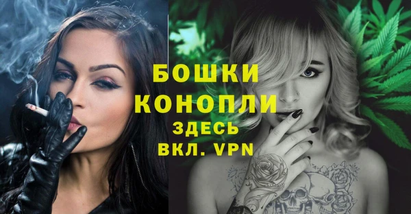 амф Инсар