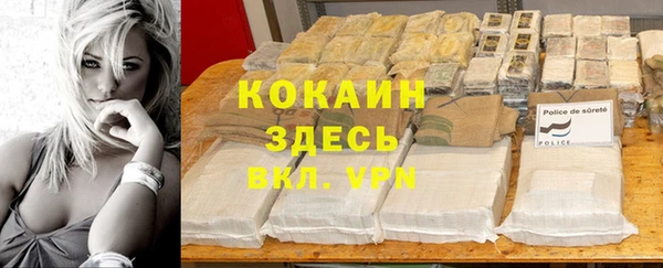 амф Инсар
