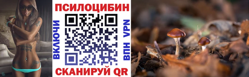 Псилоцибиновые грибы GOLDEN TEACHER  Купить где  Мирный 
